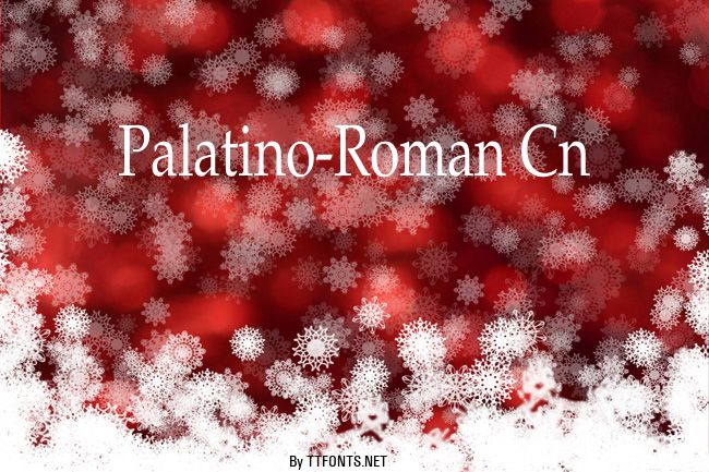 Palatino-Roman Cn example
